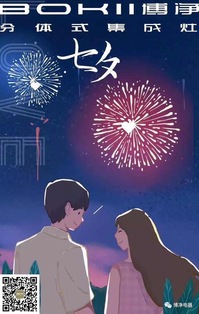 分体式集成灶-集成灶加盟-浙江博净电器有限公司