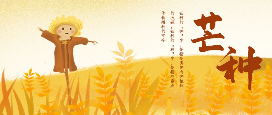 分体式集成灶-集成灶加盟-浙江博净电器有限公司