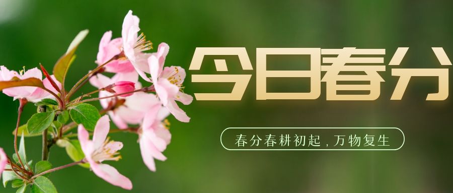 分体式集成灶-集成灶加盟-浙江博净电器有限公司