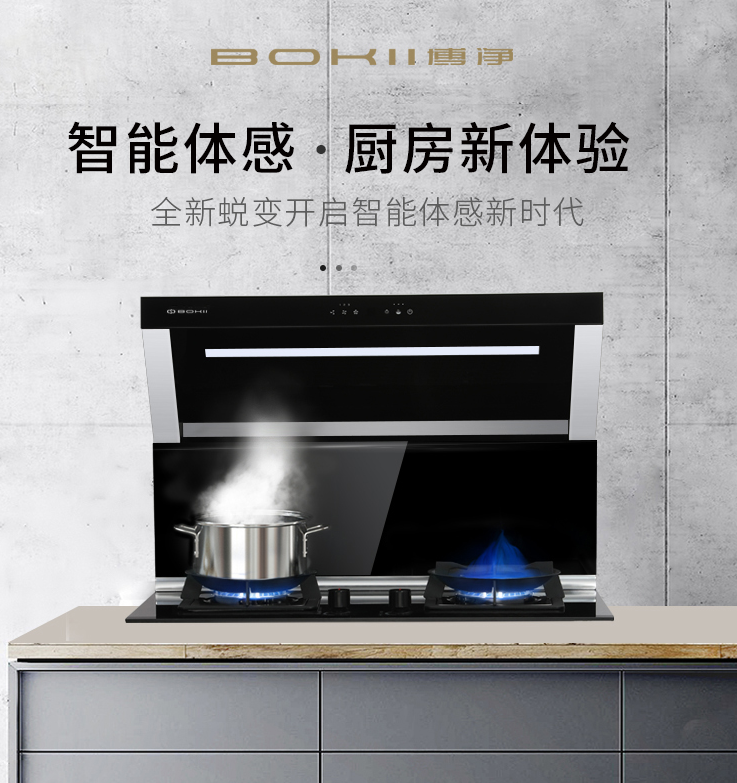 分体式集成灶-集成灶加盟-浙江博净电器有限公司