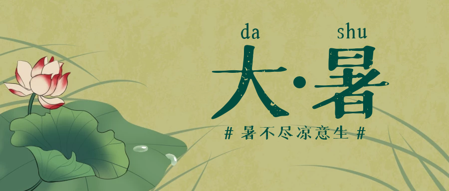 分体式集成灶-集成灶加盟-浙江博净电器有限公司