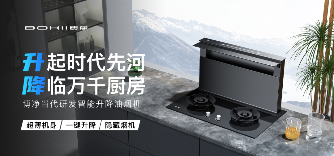 分体式集成灶-集成灶加盟-浙江博净电器有限公司