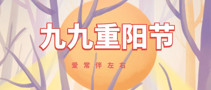 分体式集成灶-集成灶加盟-浙江博净电器有限公司