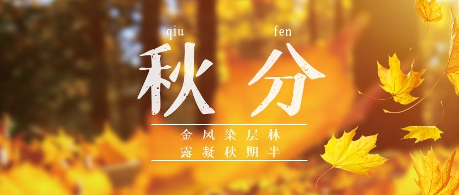 分体式集成灶-集成灶加盟-浙江博净电器有限公司