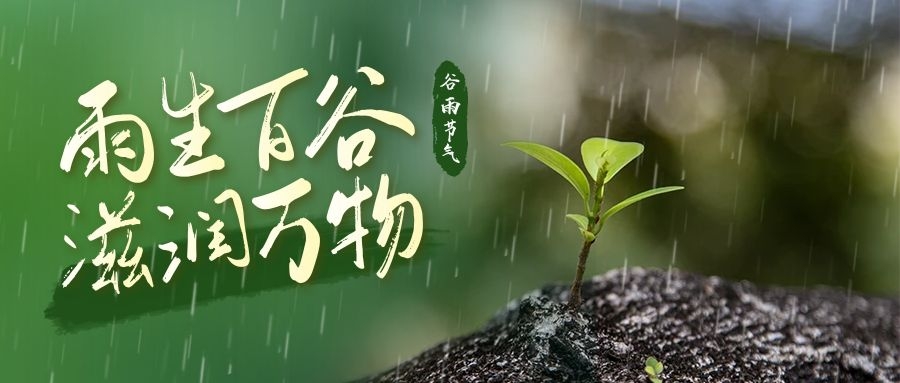 谷雨丨博净分体式集成灶给你带来清新厨房